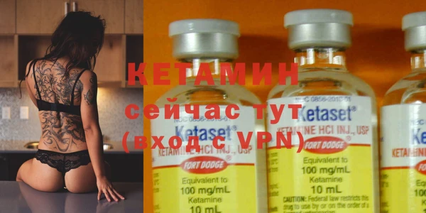 стафф Новодвинск