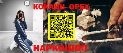 крисы Пенза