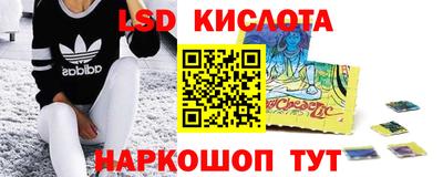 крисы Пенза