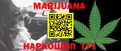 крисы Пенза