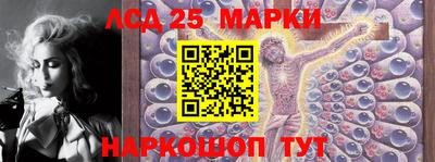 крисы Пенза