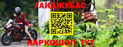 крисы Пенза