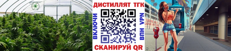 купить наркотики цена  Фрязино  Дистиллят ТГК концентрат 