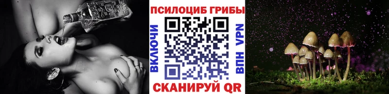 где найти   Фрязино  Галлюциногенные грибы ЛСД 