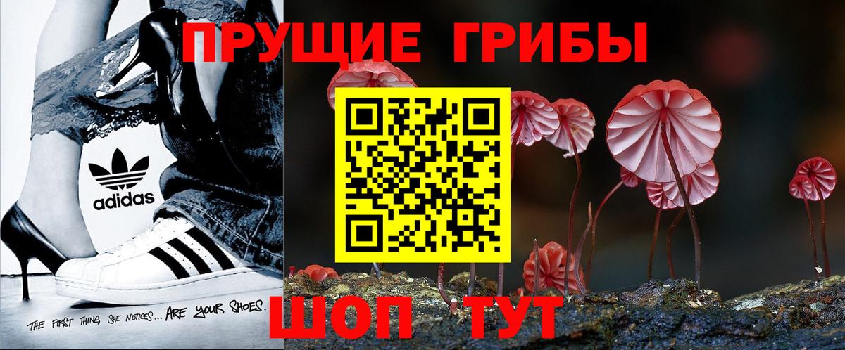 Галлюциногенные грибы Psilocybine cubensis  Вход с VPN  магазин продажи   Фрязино  Псилоцибиновые грибы Cubensis 